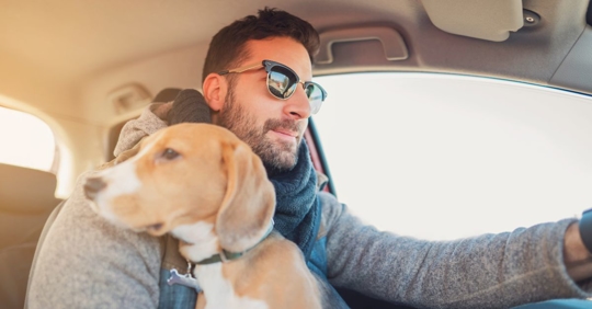 man wearing a sweater and sunglasses sitting in the driver's seat of a car holding a mid-sized dog