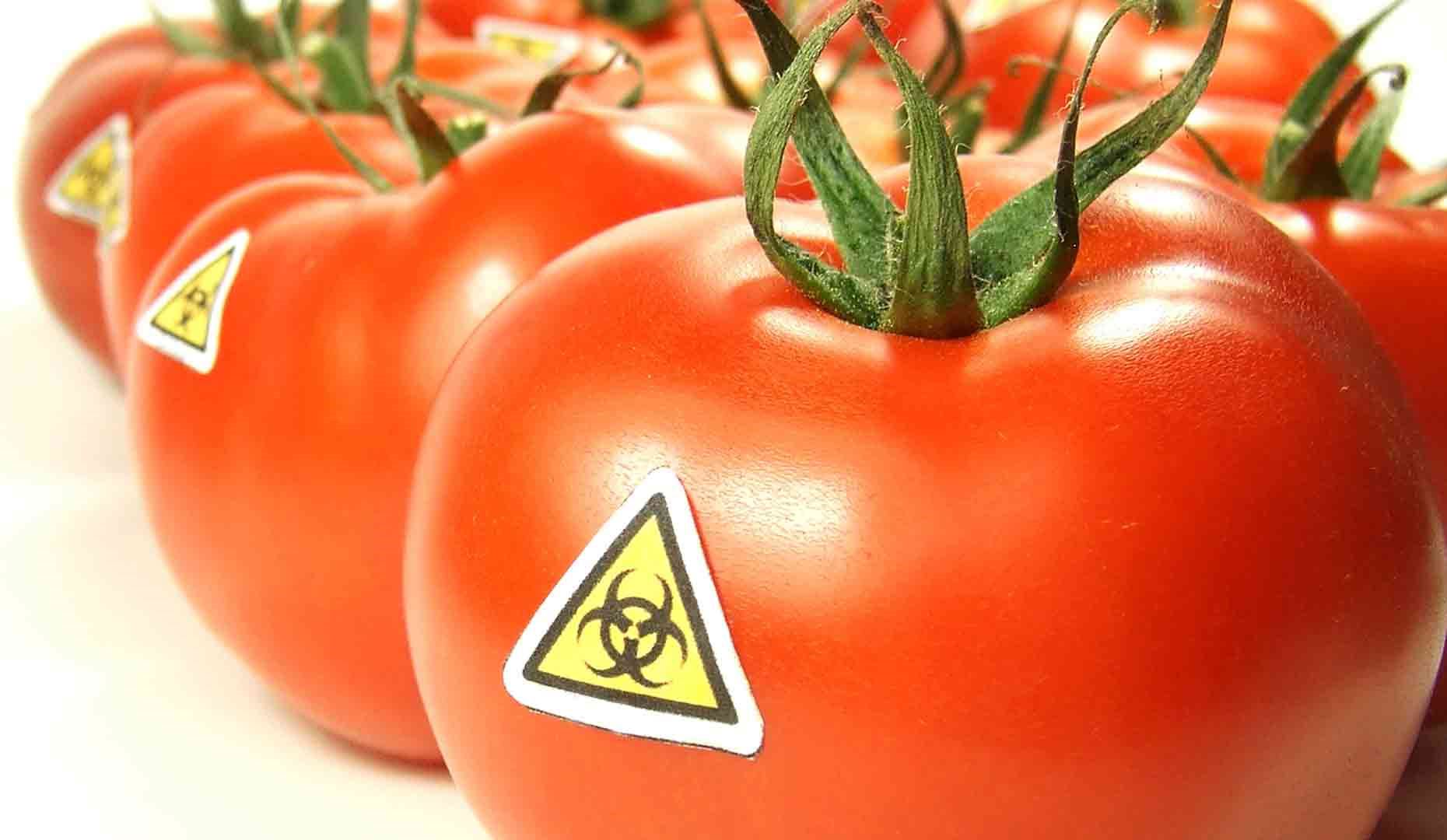 Toxic Food Products